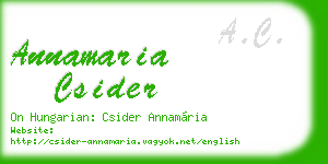 annamaria csider business card